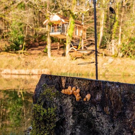 Finest Retreats - The Tree House - Eco-Friendly, Back To Nature Experience Germansweek Εξωτερικό φωτογραφία