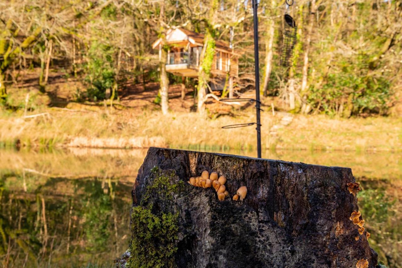 Finest Retreats - The Tree House - Eco-Friendly, Back To Nature Experience Germansweek Εξωτερικό φωτογραφία